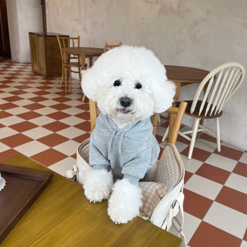 Winter Clothing Boys - Harfli Kapüşonlu Evcil Hayvan Kıyafeti Köpek