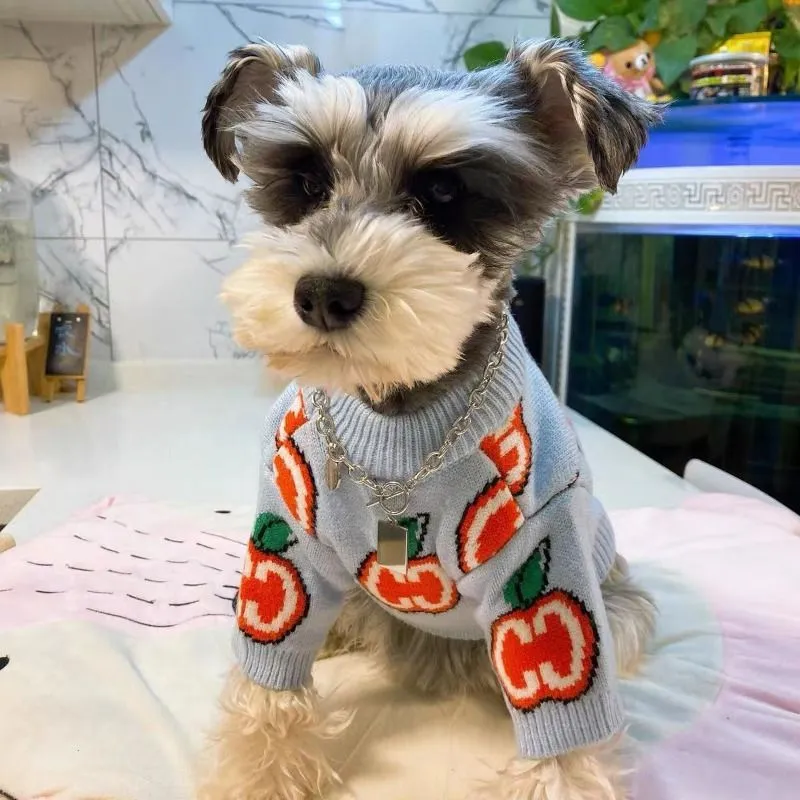 Harfli Kazak Evcil Köpek Kıyaf - Winter Clothing Kids incelemesi ve fiyatı