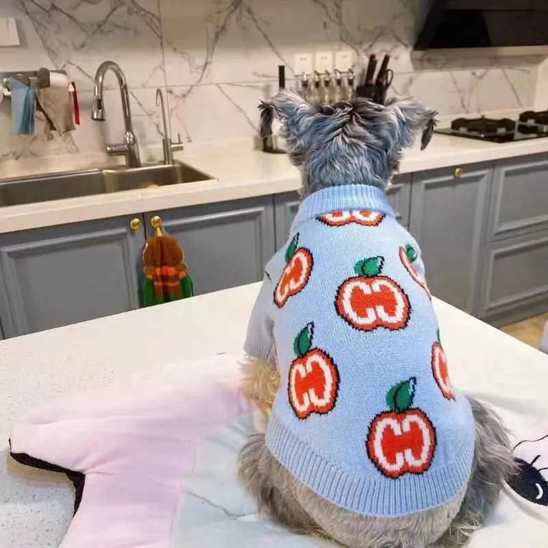 Harfli Kazak Evcil Köpek Kıyaf - Winter Clothing Kids incelemesi ve fiyatı