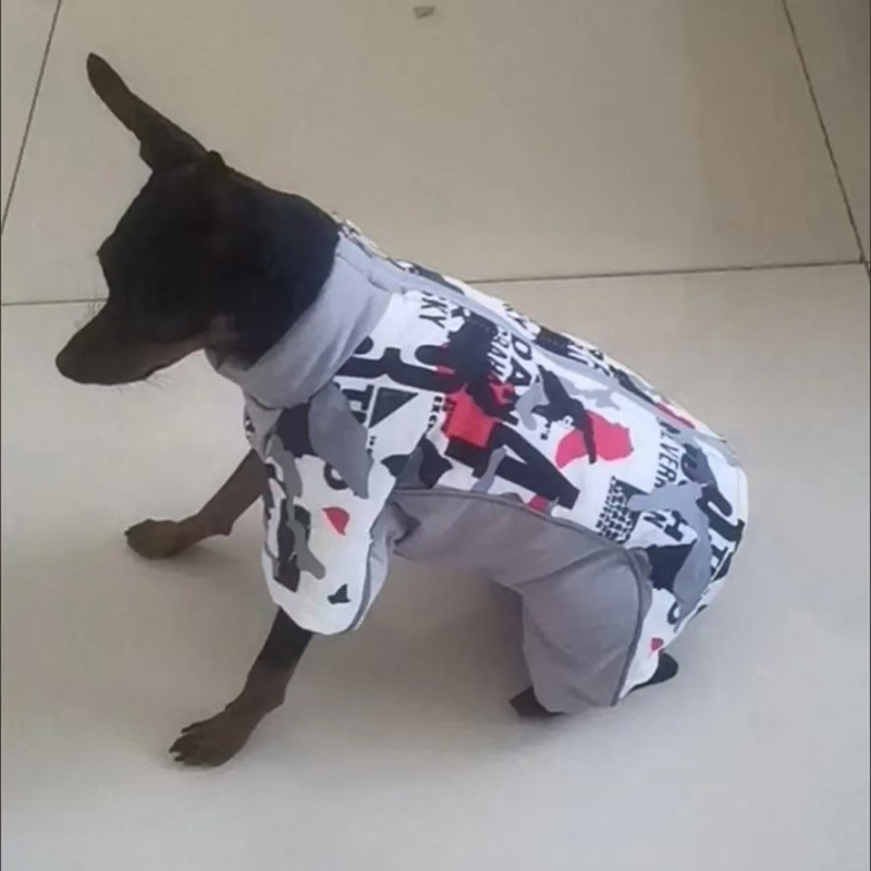 Kız köpek giysileri kış erkek  - Winter Clothing Boys incelemesi ve fiyatı